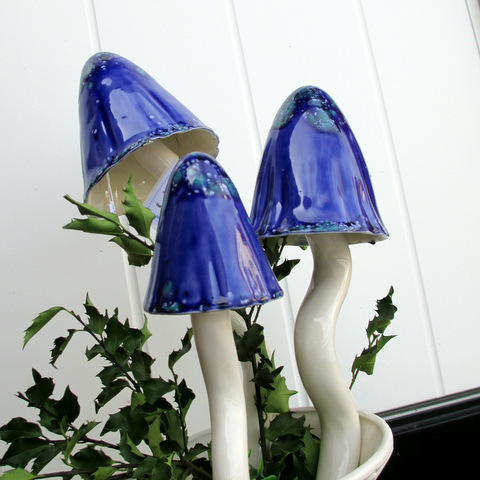Blå svamp för trädgården